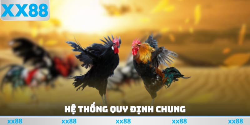 Hệ thống quy định chung